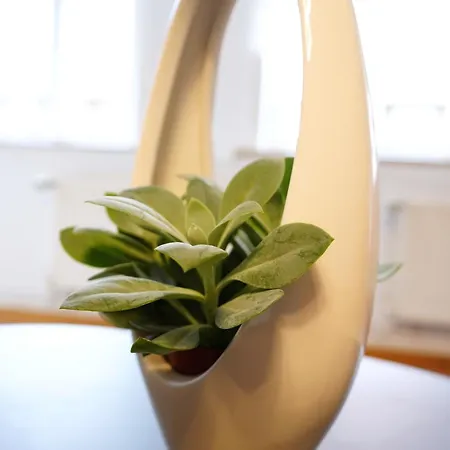 Apartamento Casa Antonia